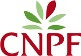 Logo Centre national de la propriété forestière