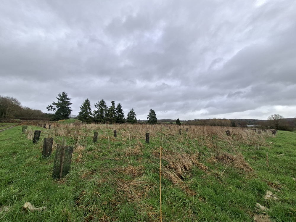 Plantation Laillé